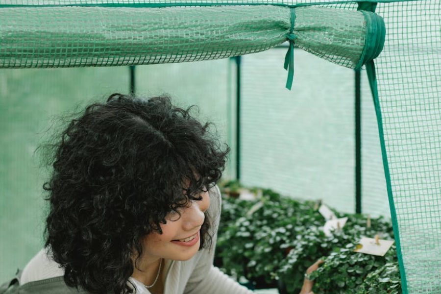 how to start a hair growth oil business