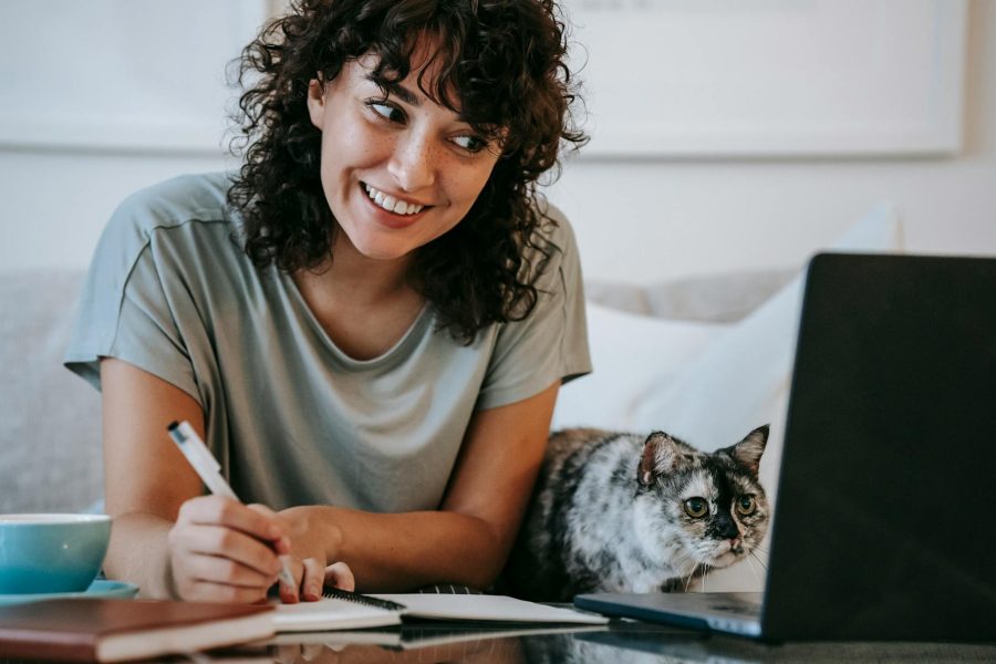 how to start a pet cremation business