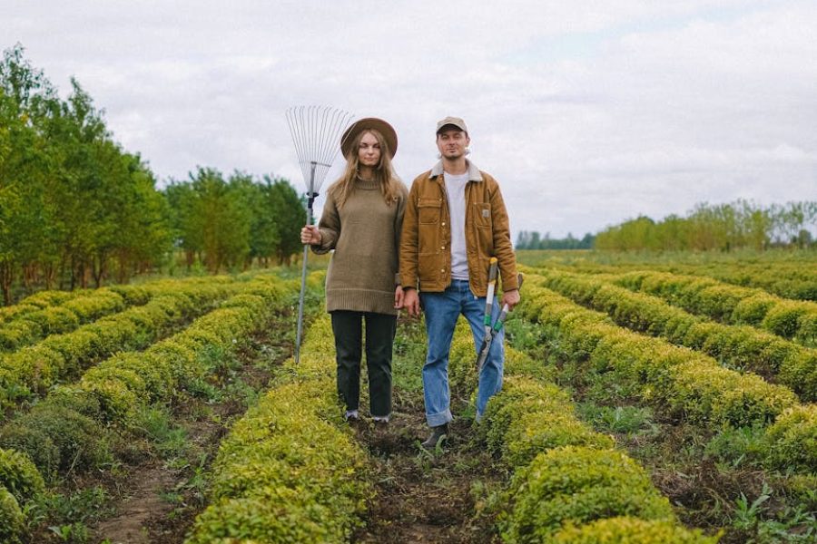 herb farming business