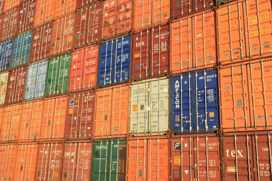 mango export business
